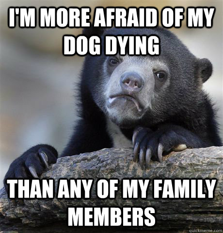 I'm more afraid of my dog dying Than any of my family members - I'm more afraid of my dog dying Than any of my family members  confessionbear
