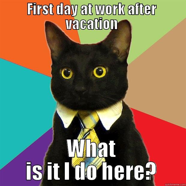 Back to Reality - FIRST DAY AT WORK AFTER VACATION WHAT IS IT I DO HERE? Business Cat