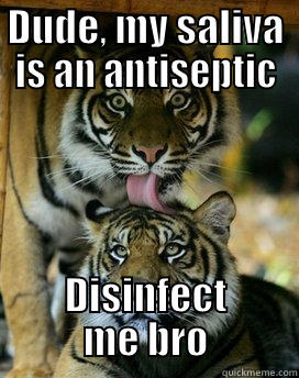 DUDE, MY SALIVA IS AN ANTISEPTIC DISINFECT ME BRO Misc