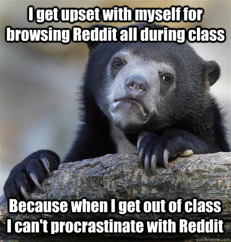 I get upset with myself for browsing Reddit all during class Because when I get out of class I can't procrastinate with Reddit - I get upset with myself for browsing Reddit all during class Because when I get out of class I can't procrastinate with Reddit  Confession Bear