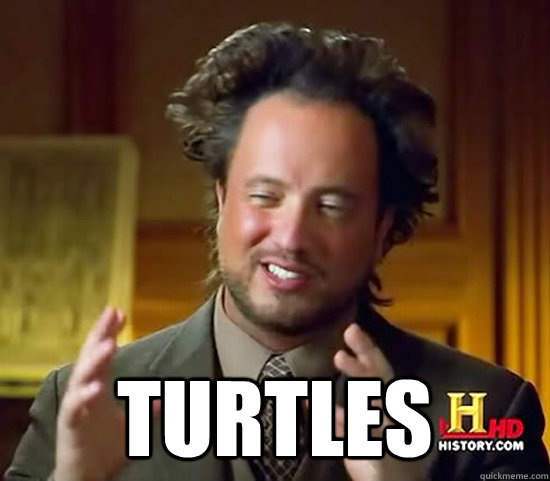  Turtles -  Turtles  Ancient Aliens