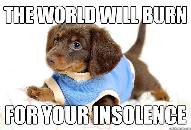 the world will burn for your insolence - the world will burn for your insolence  Angry Puppy
