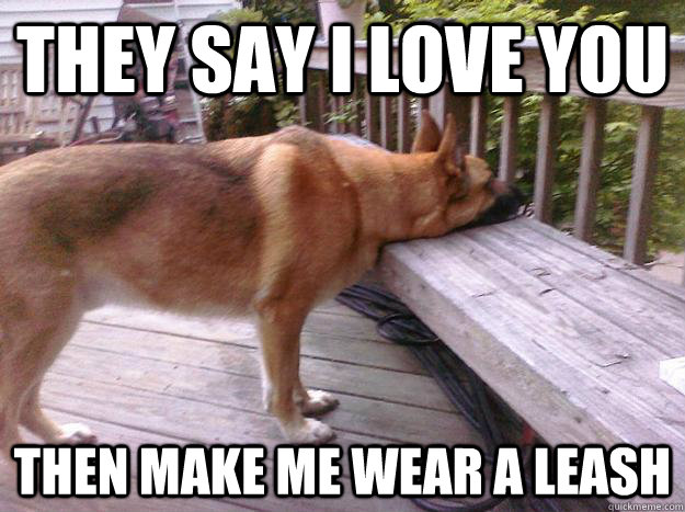 they say i love you then make me wear a leash - they say i love you then make me wear a leash  First World Dog problems