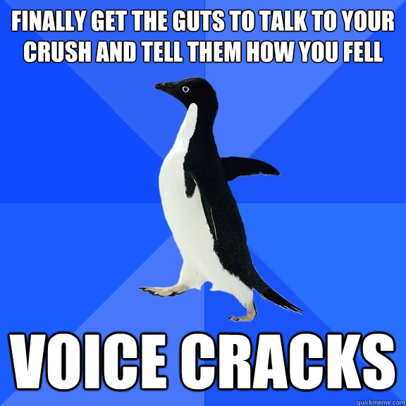 Finally get the guts to talk to your crush and tell them how you fell Voice cracks  Socially Awkward Penguin