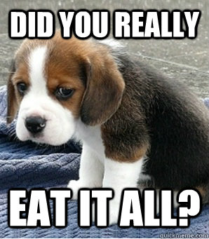 Did you really eat it all? - Did you really eat it all?  Disappointment Dog