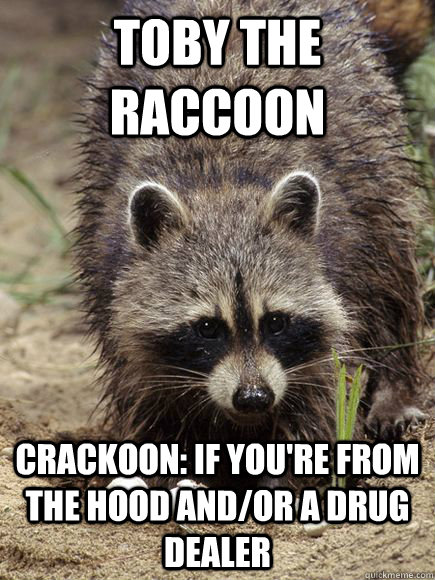 Toby the raccoon  Crackoon: If you're from the hood and/or a drug dealer - Toby the raccoon  Crackoon: If you're from the hood and/or a drug dealer  crackoon
