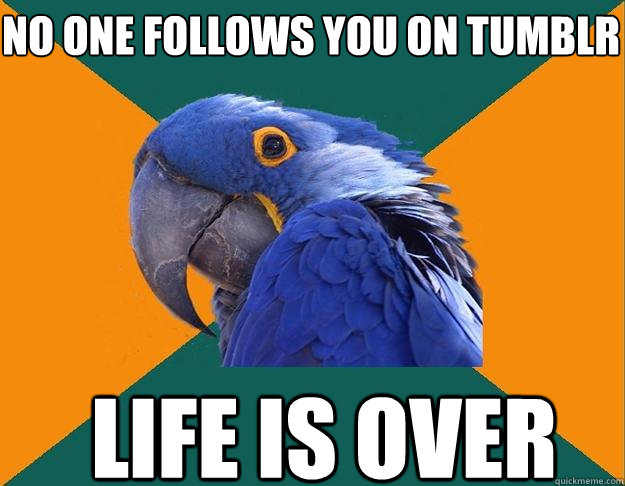 no one follows you on tumblr Life is over   Paranoid Parrot