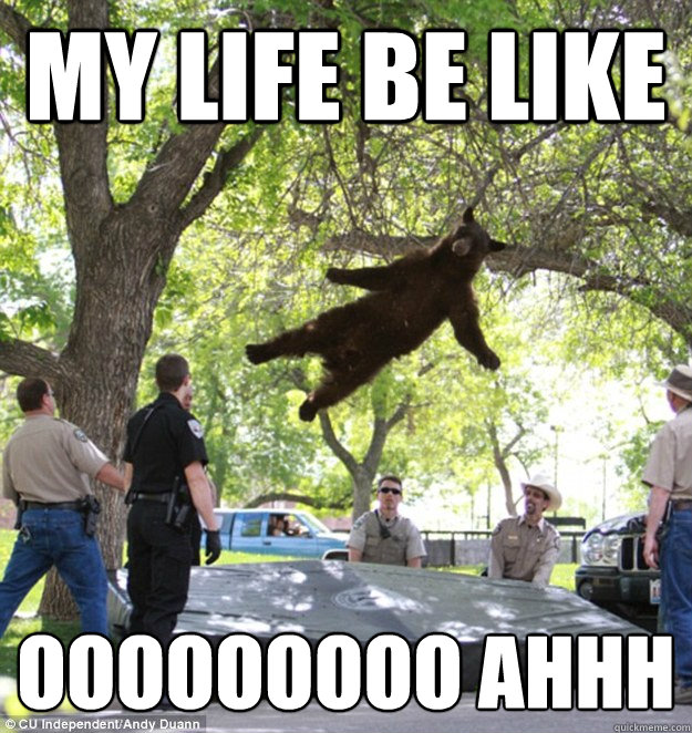 My life be like ooooooooo ahhh - My life be like ooooooooo ahhh  falling bear