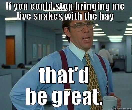 IF YOU COULD STOP BRINGING ME LIVE SNAKES WITH THE HAY THAT'D BE GREAT. Office Space Lumbergh