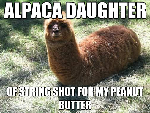 Alpaca daughter of string shot for my peanut butter  Alpacapillar