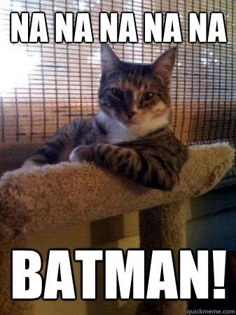 na na na na na BATMAN!  The Most Interesting Cat in the World