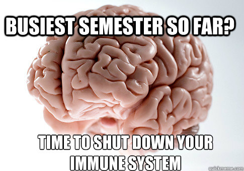 Busiest semester so far? Time to shut down your immune system  Scumbag Brain