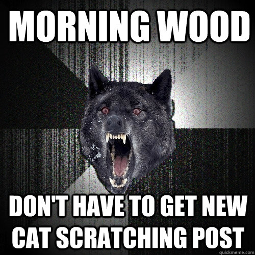 morning wood don't have to get new cat scratching post  Insanity Wolf