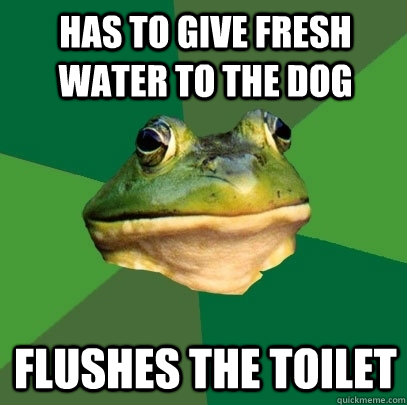 Has to give fresh water to the dog flushes the toilet  Foul Bachelor Frog