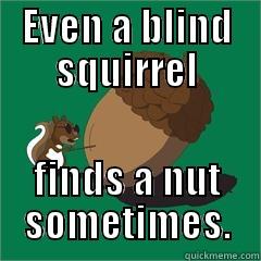 EVEN A BLIND SQUIRREL FINDS A NUT SOMETIMES. Misc