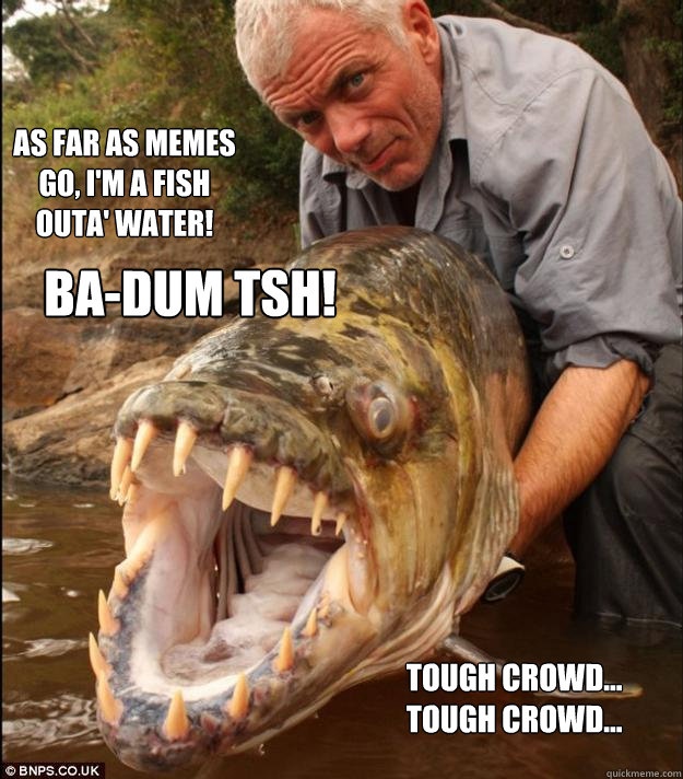 As far as memes go, I'm a fish outa' water! Tough crowd... tough crowd... BA-dum tsh!  