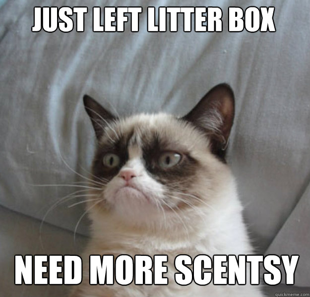 Just left litter box need more scentsy - Just left litter box need more scentsy  Misc