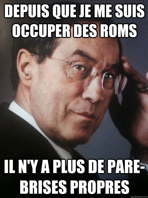 Depuis que je me suis occuper des ROMS Il n'y a plus de pare-brises propres  FNUMP
