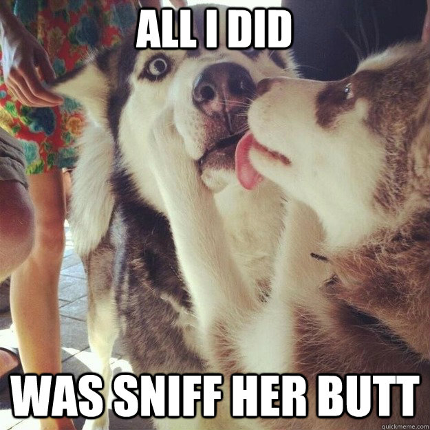 all i did was sniff her butt  