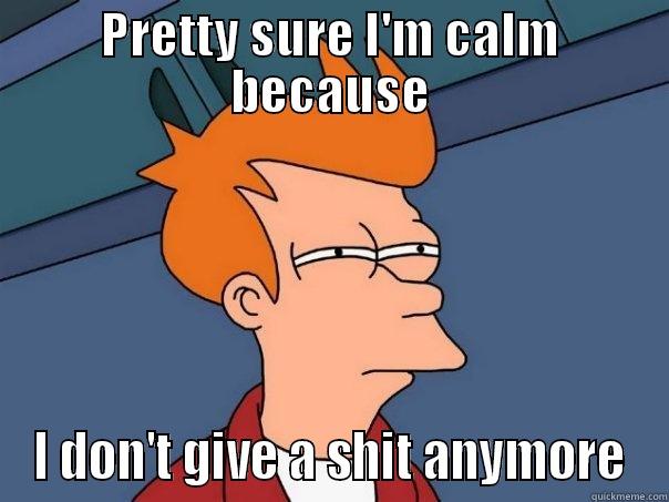 PRETTY SURE I'M CALM BECAUSE I DON'T GIVE A SHIT ANYMORE Futurama Fry