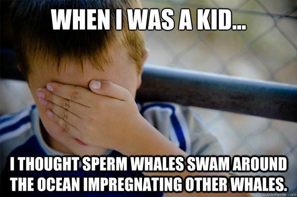 When I was a kid... i thought sperm whales swam around the ocean impregnating other whales. - When I was a kid... i thought sperm whales swam around the ocean impregnating other whales.  Confession kid