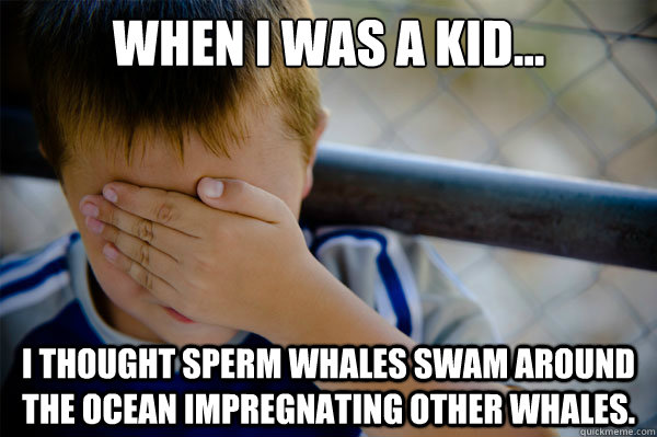When I was a kid... i thought sperm whales swam around the ocean impregnating other whales.  Confession kid