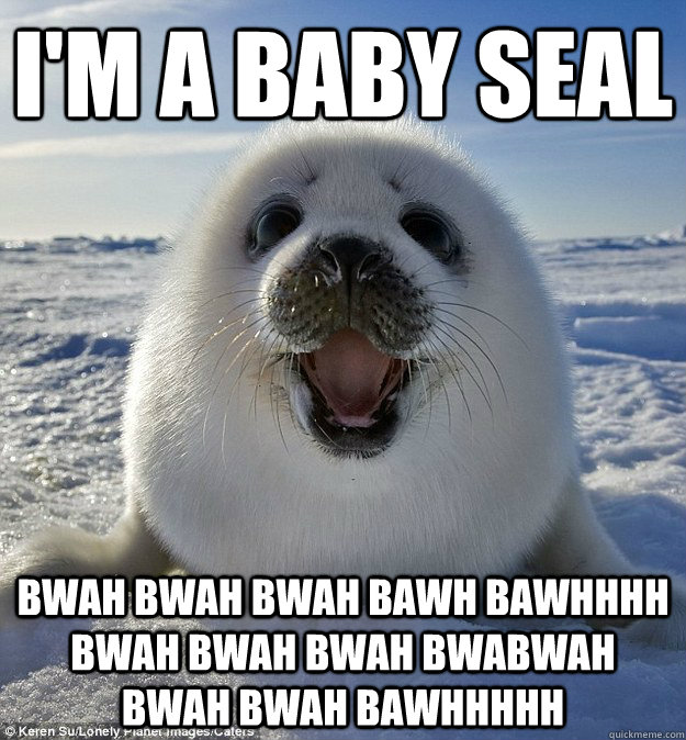 I'M A BABY SEAL BWAH BWAH BWAH BAWH BAWHHHH BWAH BWAH BWAH BWABWAH BWAH BWAH BAWHHHHH - I'M A BABY SEAL BWAH BWAH BWAH BAWH BAWHHHH BWAH BWAH BWAH BWABWAH BWAH BWAH BAWHHHHH  Easily Pleased Seal