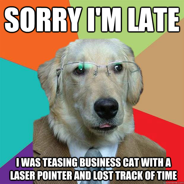 Sorry I'm late I was teasing business cat with a laser pointer and lost track of time   Business Dog