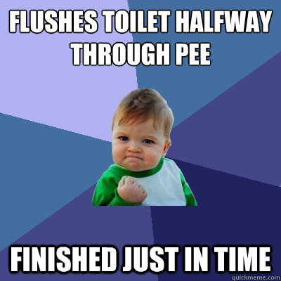 Flushes toilet halfway through pee Finished just in time  Success Kid