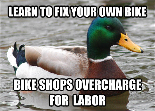 LEARN TO FIX YOUR OWN BIKE BIKE SHOPS OVERCHARGE FOR  LABOR  Actual Advice Mallard