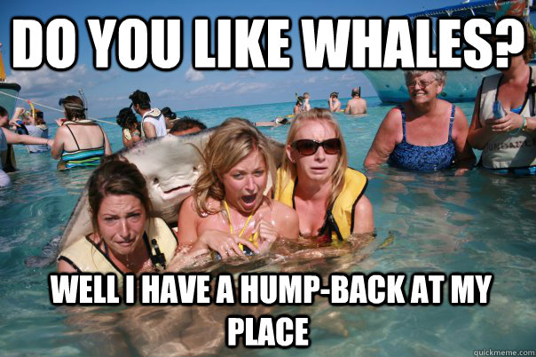 Do you like whales?  Well I have a hump-back at my place  Pervert Stingray