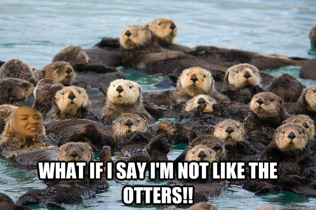  What if I say I'm not like the otters!! -  What if I say I'm not like the otters!!  Misc
