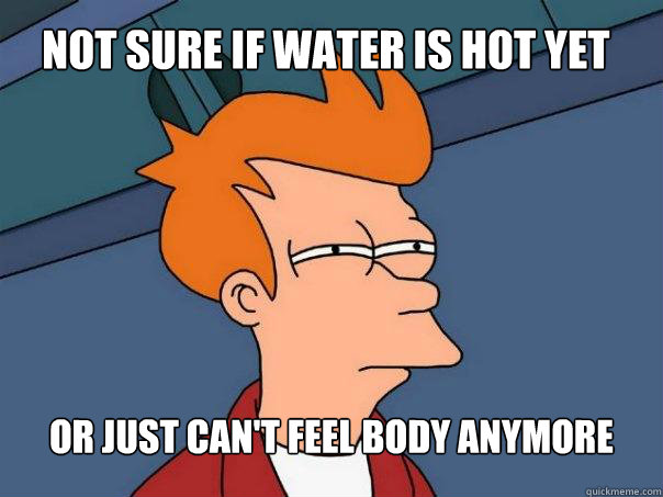 Not sure if water is hot yet Or just can't feel body anymore  Futurama Fry