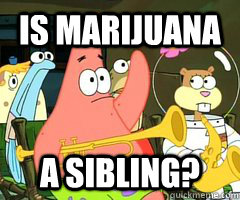 is marijuana a sibling? - is marijuana a sibling?  Patrick Star Mayonnaise