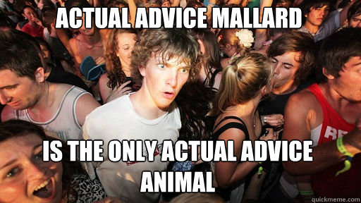 Actual Advice Mallard is the only actual advice animal  Sudden Clarity Clarence
