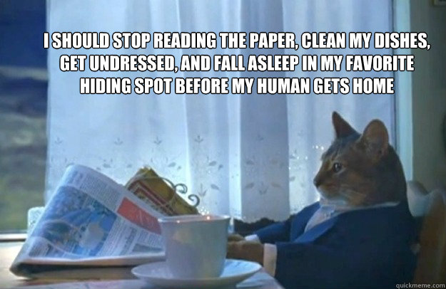 i should stop reading the paper, clean my dishes, get undressed, and fall asleep in my favorite hiding spot before my human gets home - i should stop reading the paper, clean my dishes, get undressed, and fall asleep in my favorite hiding spot before my human gets home  Sophisticated Cat