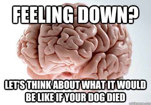 Feeling down? Let's think about what it would be like if your dog died  Scumbag Brain