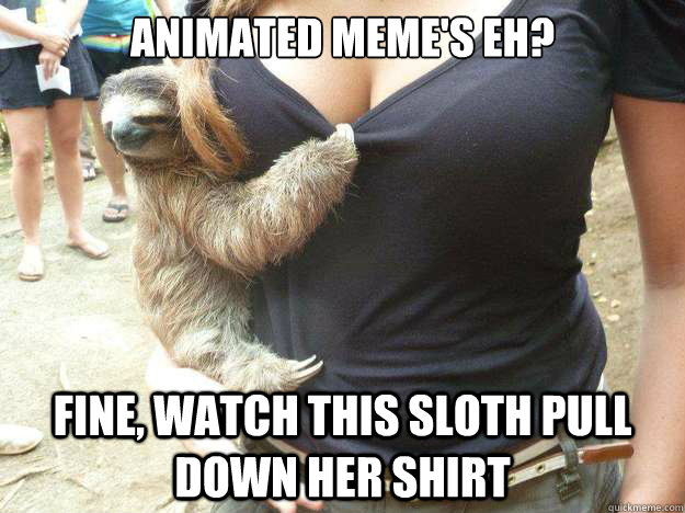Animated meme's eh? fine, watch this sloth pull down her shirt - Animated meme's eh? fine, watch this sloth pull down her shirt  Misc