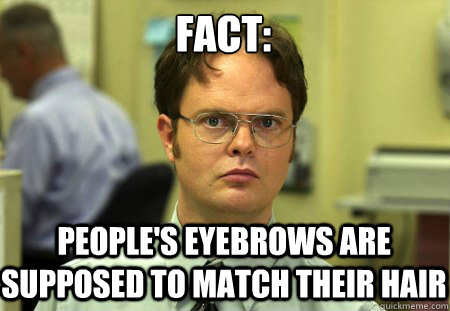 FACT:
 People's eyebrows are supposed to match their hair  Schrute