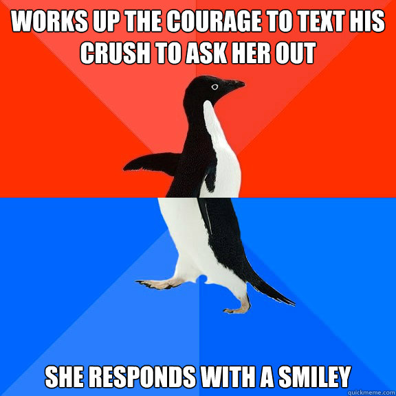 WORKS UP THE COURAGE TO TEXT HIS CRUSH TO ASK HER OUT She responds with a smiley  Socially Awesome Awkward Penguin