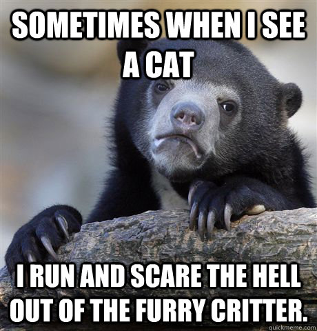 Sometimes when I see a cat I run and scare the hell out of the furry critter.  Confession Bear