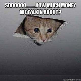 soooooo.........how much money we talkin about?   Ceiling Cat