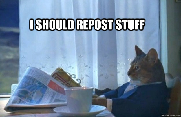 I should repost stuff  Sophisticated Cat