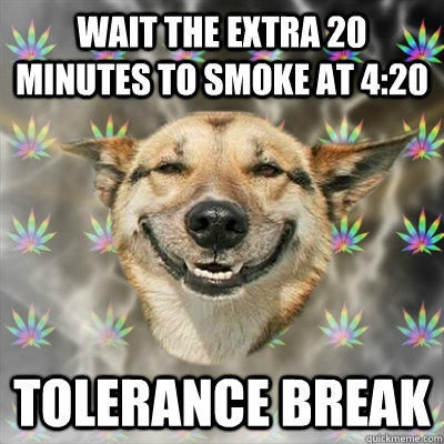 wait the extra 20 minutes to smoke at 4:20 tolerance break  Stoner Dog