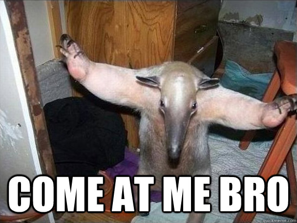 Come At me Bro  I got this