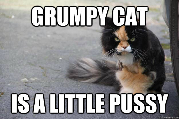 Grumpy cat is a little pussy - Grumpy cat is a little pussy  Angry Cat