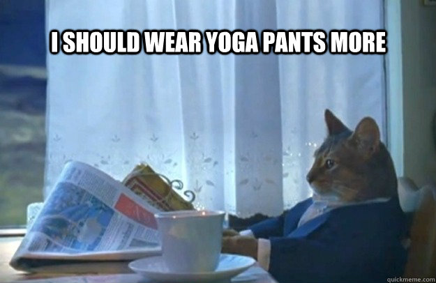 I should wear yoga pants more  - I should wear yoga pants more   Sophisticated Cat