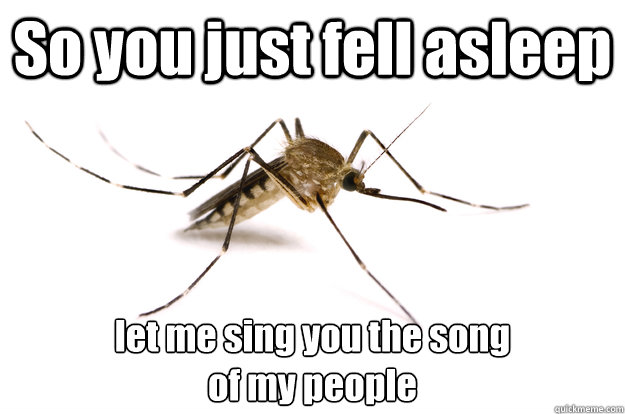 So you just fell asleep let me sing you the song 
of my people  