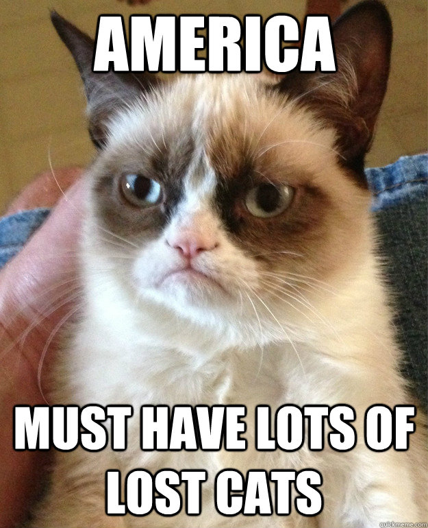 America must have lots of lost cats  Grumpy Cat