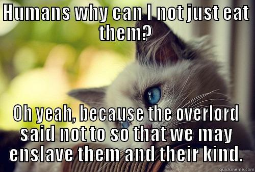 HUMANS WHY CAN I NOT JUST EAT THEM? OH YEAH, BECAUSE THE OVERLORD SAID NOT TO SO THAT WE MAY ENSLAVE THEM AND THEIR KIND. First World Problems Cat